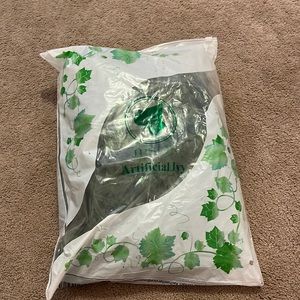 Vines for room. Never opened.